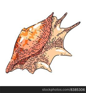 shell sea hand drawn vector. marine seashell, beach snail, ocean conch, clam animal, water shell sea sketch. isolated color illustration. shell sea sketch hand drawn vector