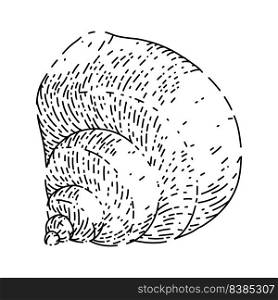 shell sea hand drawn vector. marine seashell, beach snail, ocean conch, clam animal, scalop shell sea sketch. isolated black illustration. shell sea sketch hand drawn vector