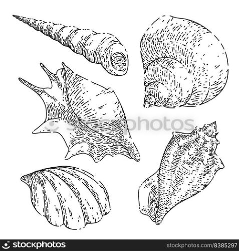 shell sea set hand drawn vector. marine seashell, beach snail, ocean conch, clam animal, water scalop shell sea sketch. isolated color illustration. shell sea set sketch hand drawn vector