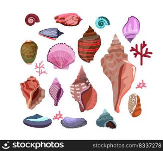 Shell set illustration. Different barnacles on white background. Can be used for topics like sea, ocean, nature. Shell set illustration