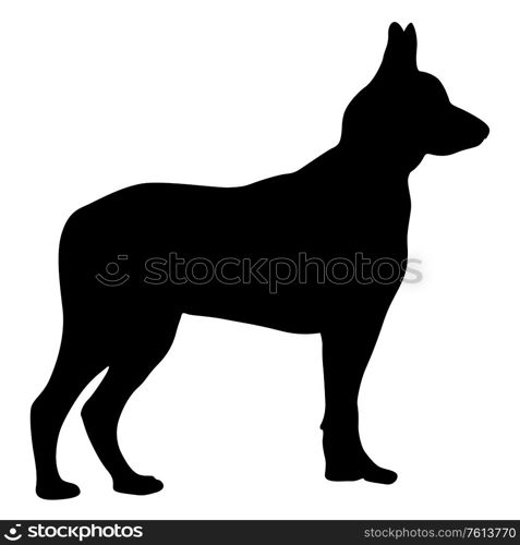 Shepherd dog black silhouette on white background.. Shepherd dog black silhouette on white background