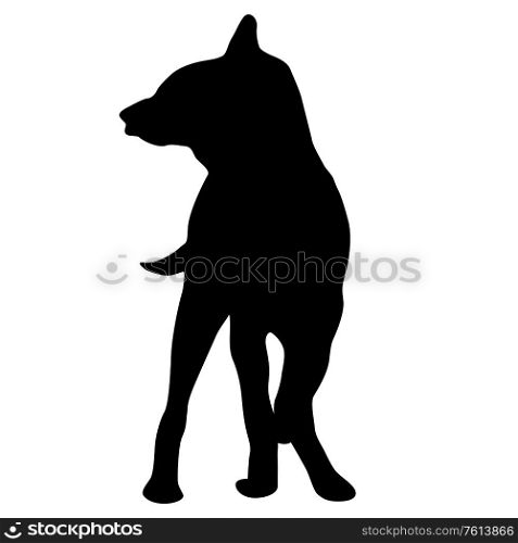 Shepherd dog black silhouette on white background.. Shepherd dog black silhouette on white background