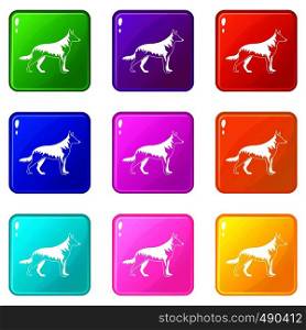 Shepherd dog icons of 9 color set isolated vector illustration. Shepherd dog set 9