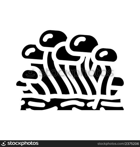shimeji mushroom glyph icon vector. shimeji mushroom sign. isolated contour symbol black illustration. shimeji mushroom glyph icon vector illustration