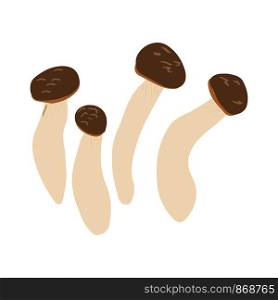 Shimeji mushrooms or beech mushrooms isolated on white background. Flat Cartoon style. Vector illustration.. Shimeji mushrooms or beech mushrooms