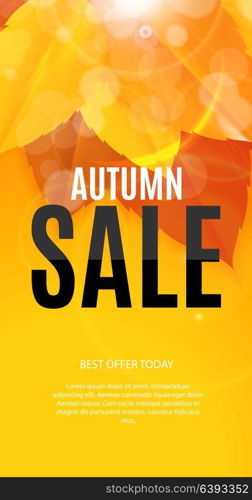 Shiny Autumn Leaves Sale Banner. Business Discount Card. Vector Illustration EPS10. Shiny Autumn Leaves Sale Banner. Business Discount Card. Vector Illustration