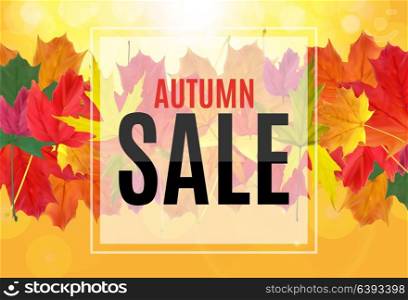 Shiny Autumn Leaves Sale Banner. Business Discount Card. Vector Illustration EPS10. Shiny Autumn Leaves Sale Banner. Business Discount Card. Vector Illustration