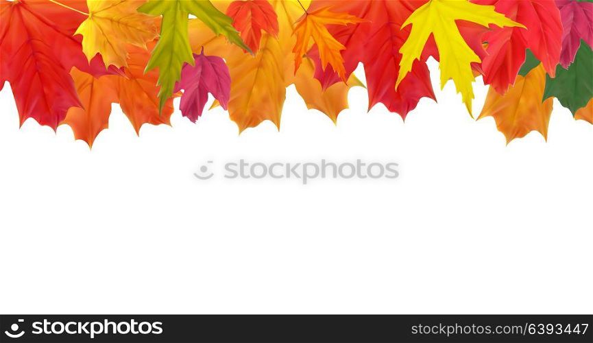 Shiny Autumn Natural Leaves Background. Vector Illustration EPS10. Shiny Autumn Natural Leaves Background. Vector Illustration