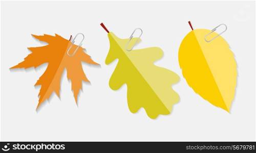 Shiny Autumn Natural Leaves Label with Clip Vector Illustration. EPS10