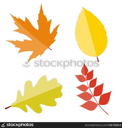 Shiny Autumn Natural Leaves Vector Illustration. EPS10