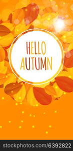 Shiny Hello Autumn Natural Leaves Background. Vector Illustration EPS10. Shiny Hello Autumn Natural Leaves Background. Vector Illustration