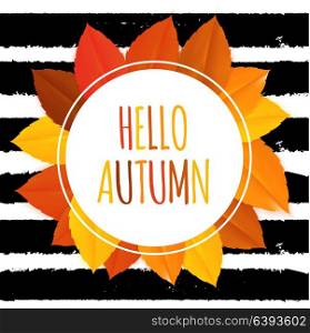 Shiny Hello Autumn Natural Leaves Background. Vector Illustration EPS10. Shiny Hello Autumn Natural Leaves Background. Vector Illustration