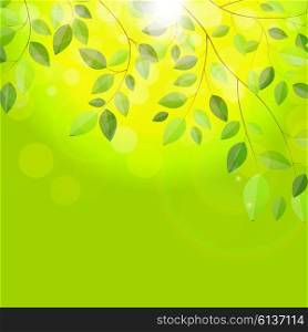 Shiny Spring Natural Leaves Background. Vector Illustration EPS10. Shiny Spring Natural Leaves Background. Vector Illustration