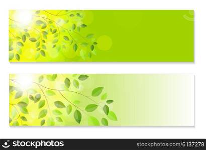 Shiny Spring Natural Leaves Background. Vector Illustration EPS10. Shiny Spring Natural Leaves Background. Vector Illustration