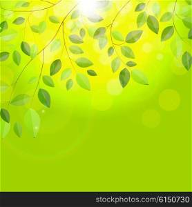 Shiny Spring Natural Leaves Background. Vector Illustration EPS10. y2015-10-31-07