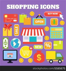 Shopping decorative icons set with plastic card money bags isolated vector illustration