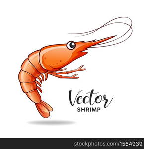 Shrimp design, vector isolated on white background, illustration