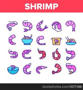 Shrimp Food Collection Elements Icons Set Vector Thin Line. Shrimp Fresh And Cooked, Sushi And Soup, Appetizer And Delicacy Concept Linear Pictograms. Color Illustrations. Shrimp Food Collection Elements Icons Set Vector