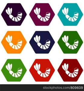 Shrimp icon set many color hexahedron isolated on white vector illustration. Shrimp icon set color hexahedron