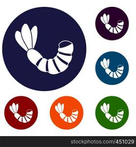 Shrimp icons set in flat circle reb, blue and green color for web. Shrimp icons set