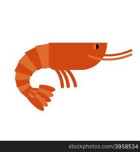 Shrimp. Marine cancroid. Boiled shrimp delicacy. Cooked Orange shrimp on white background.&#xA;