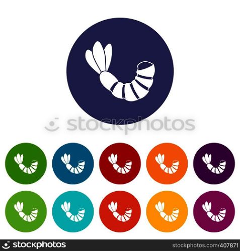 Shrimp set icons in different colors isolated on white background. Shrimp set icons
