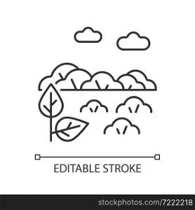 Shrubland linear icon. Scrubland. Bush growing area. Land type with shrub. Dry climate zone. Thin line customizable illustration. Contour symbol. Vector isolated outline drawing. Editable stroke. Shrubland linear icon