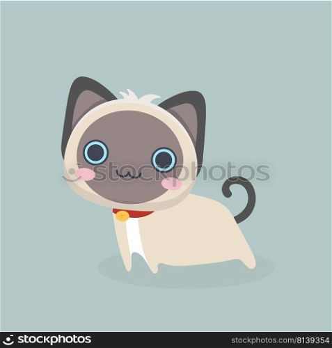 Siamese cat the Lovely kitten with blue eyes fluffy on pastel background.. Siamese cat the Lovely kitten 