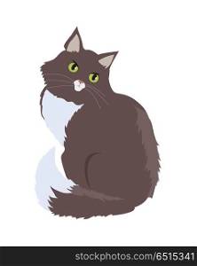 Siberian Cat Vector Flat Design Illustration. Siberian cat breed. Cute brown cat seating flat vector illustration isolated on white background. Purebred pet. Domestic friend and companion animal. For pet shop ad, animalistic hobby concept. Siberian Cat Vector Flat Design Illustration