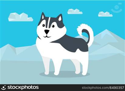 Siberian husky dog breed on snowy mountains background. Flat design vector. Domestic friend and companion animal. For traveling concept, racing sled dogs ad, native species habitat illustrating. Siberian Husky Vector Illustration in Flat Design. Siberian Husky Vector Illustration in Flat Design
