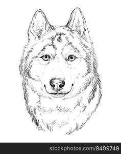 Siberian Husky hand drawing dog realistic vector isolated illustration on white background. Cute funny dog looking into the camera. For print, design, T-shirt, sublimation, decor, poster, card. Siberian Husky hand drawing dog vector isolated illustration