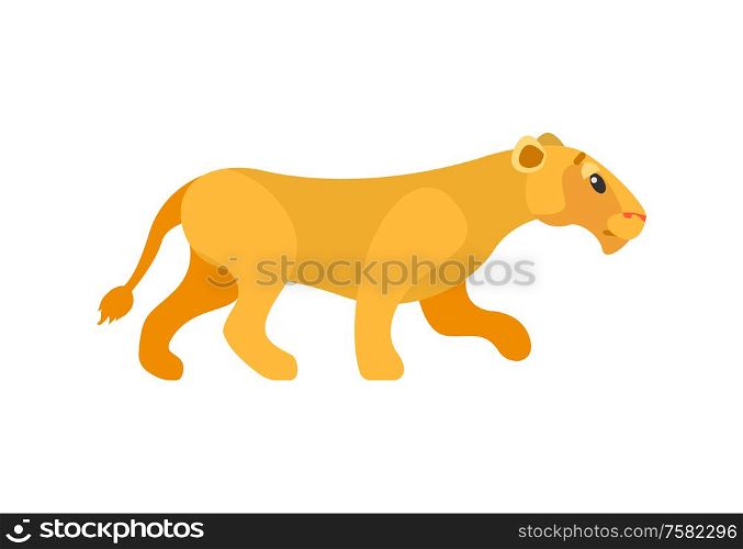 Side view of standing lioness, wildlife animal, single mammal and mascot of zoo. Predator and dangerous cat, flat element of pride, closeup of beast vector. Dangerous Cat, Lioness or Wildlife Animal Vector