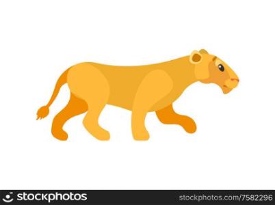 Side view of standing lioness, wildlife animal, single mammal and mascot of zoo. Predator and dangerous cat, flat element of pride, closeup of beast vector. Dangerous Cat, Lioness or Wildlife Animal Vector