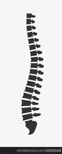 Side view of the spine on a white background. Vector illustration. Side view of the spine on a white background