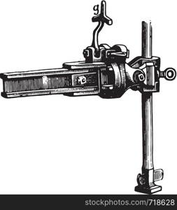 Side view of the stem of the front end of Eckert and its relationship with age, vintage engraved illustration. Industrial encyclopedia E.-O. Lami - 1875.