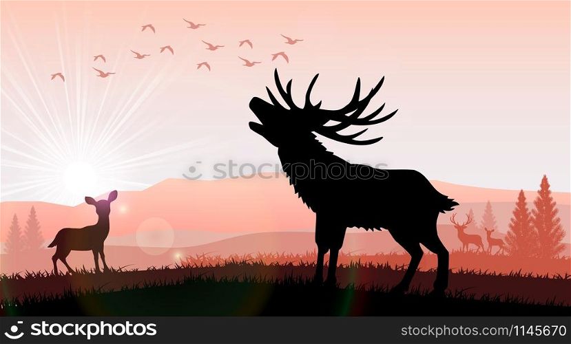 Silhouette a deer and kangaroo the feeding in the bright sunset