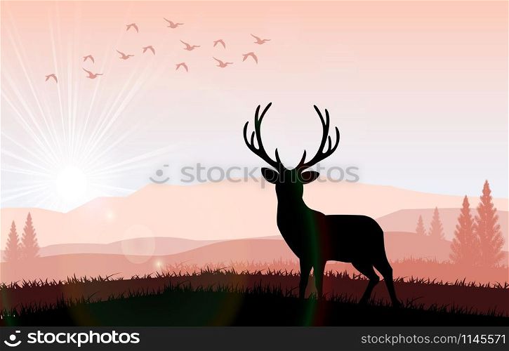 Silhouette a deer the feeding in the bright sunset. Vector