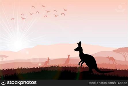 Silhouette a kangaroo the feeding in the bright sunset. Vector