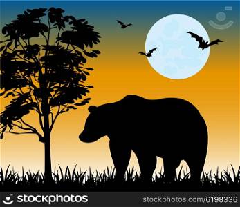 Silhouette bear on glade. Silhouette bear on glade moon in the night
