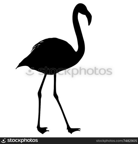 Silhouette bird flamingo on a white background.. Silhouette bird flamingo on a white background