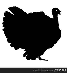 Silhouette black turkey on a white background.. Silhouette black turkey on a white background