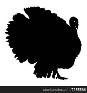 Silhouette black turkey on a white background.. Silhouette black turkey on a white background