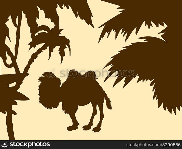 silhouette camel