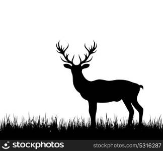 Silhouette Deer, Stag, Reindeer in Forest Grass. Silhouette Deer, Stag, Reindeer in Forest Grass - Illustration Vector