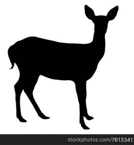 Silhouette deer with great antler on white background.. Silhouette deer with great antler on white background