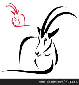 Silhouette goral on white background, vector