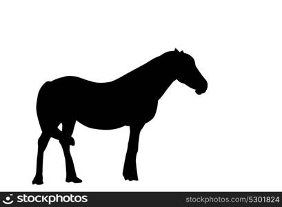 Silhouette Horse. Vector Illustration. EPS10. Silhouette Horse. Vector Illustration.