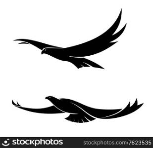Silhouette in black of two graceful flying birds with their wings in different positions, vector illustration isolated on white