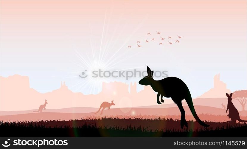 Silhouette kangaroo in the evening. Vector