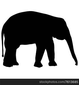Silhouette large African elephant on a white background.. Silhouette large African elephant on a white background